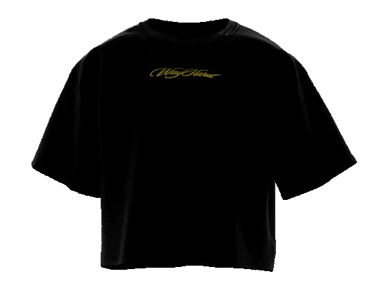 Black WayHard streetwear T-shirt featuring a wide drop-shoulder 430gsm 100% Cotton, boxy slightly cropped fit, oversized feel, and a small embroidered WayHard logo centered on the chest